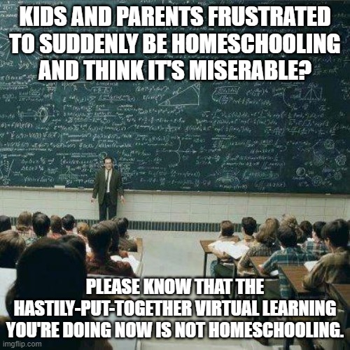 School | KIDS AND PARENTS FRUSTRATED TO SUDDENLY BE HOMESCHOOLING
AND THINK IT'S MISERABLE? PLEASE KNOW THAT THE HASTILY-PUT-TOGETHER VIRTUAL LEARNING YOU'RE DOING NOW IS NOT HOMESCHOOLING. | image tagged in school | made w/ Imgflip meme maker