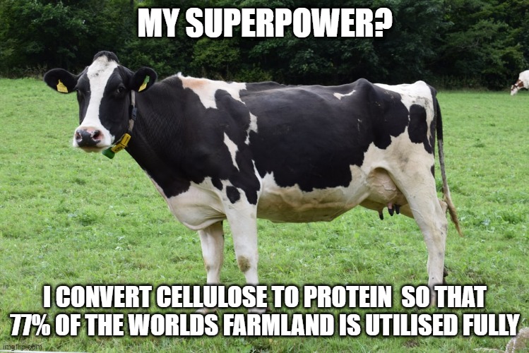 Farming protein | MY SUPERPOWER? I CONVERT CELLULOSE TO PROTEIN  SO THAT 77% OF THE WORLDS FARMLAND IS UTILISED FULLY | image tagged in farmer,farm,vegan | made w/ Imgflip meme maker
