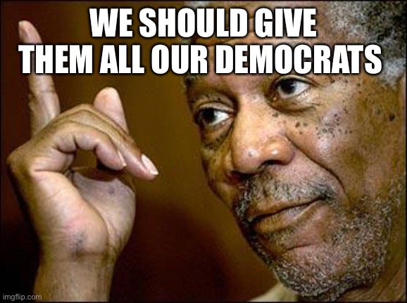 This Morgan Freeman | WE SHOULD GIVE THEM ALL OUR DEMOCRATS | image tagged in this morgan freeman | made w/ Imgflip meme maker
