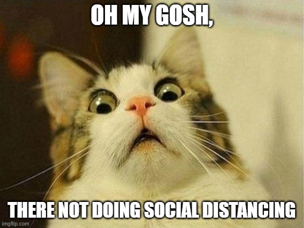 Scared Cat | OH MY GOSH, THERE NOT DOING SOCIAL DISTANCING | image tagged in memes,scared cat | made w/ Imgflip meme maker