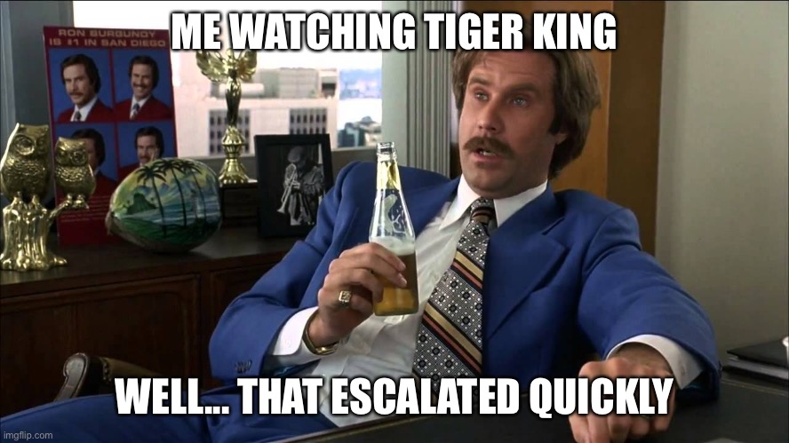 Boy, That Escalated Quickly | ME WATCHING TIGER KING; WELL... THAT ESCALATED QUICKLY | image tagged in boy that escalated quickly | made w/ Imgflip meme maker