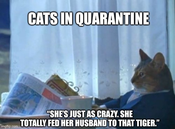 I Should Buy A Boat Cat | CATS IN QUARANTINE; “SHE’S JUST AS CRAZY. SHE TOTALLY FED HER HUSBAND TO THAT TIGER.” | image tagged in memes,i should buy a boat cat | made w/ Imgflip meme maker