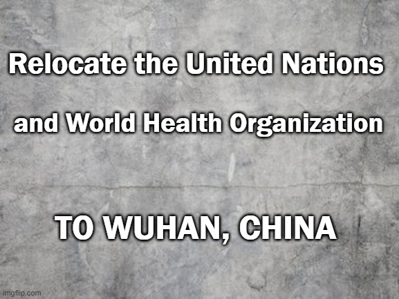 UN & WHO go to Wuhan, China | Relocate the United Nations; and World Health Organization; TO WUHAN, CHINA | image tagged in united nations,world health organization,wuhan,covid-19,coronavirus | made w/ Imgflip meme maker