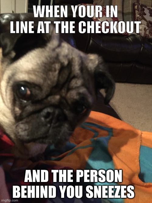 New norm | WHEN YOUR IN LINE AT THE CHECKOUT; AND THE PERSON BEHIND YOU SNEEZES | image tagged in new norm,covid-19,and everybody loses their minds,social distancing,pug,pug life | made w/ Imgflip meme maker