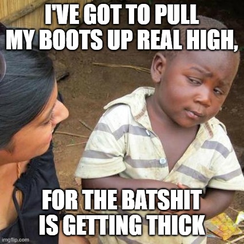 Third World Skeptical Kid Meme | I'VE GOT TO PULL MY BOOTS UP REAL HIGH, FOR THE BATSHIT IS GETTING THICK | image tagged in memes,third world skeptical kid,boots,bat,crap,bullshit | made w/ Imgflip meme maker