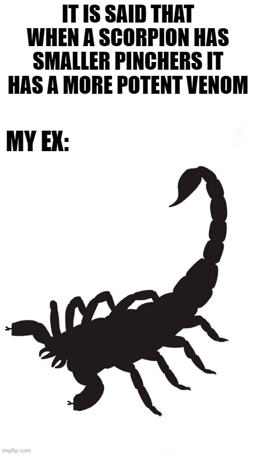 scorpion fact | IT IS SAID THAT WHEN A SCORPION HAS SMALLER PINCHERS IT HAS A MORE POTENT VENOM; MY EX: | image tagged in ex wife,scorpion | made w/ Imgflip meme maker