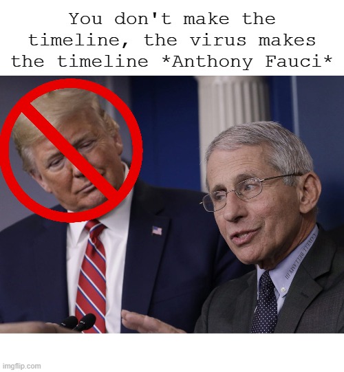 You don't make the timeline, the virus makes the timeline *Anthony Fauci*; COVELL BELLAMY III | image tagged in trump and fauci you don't make the timeline the virus does | made w/ Imgflip meme maker