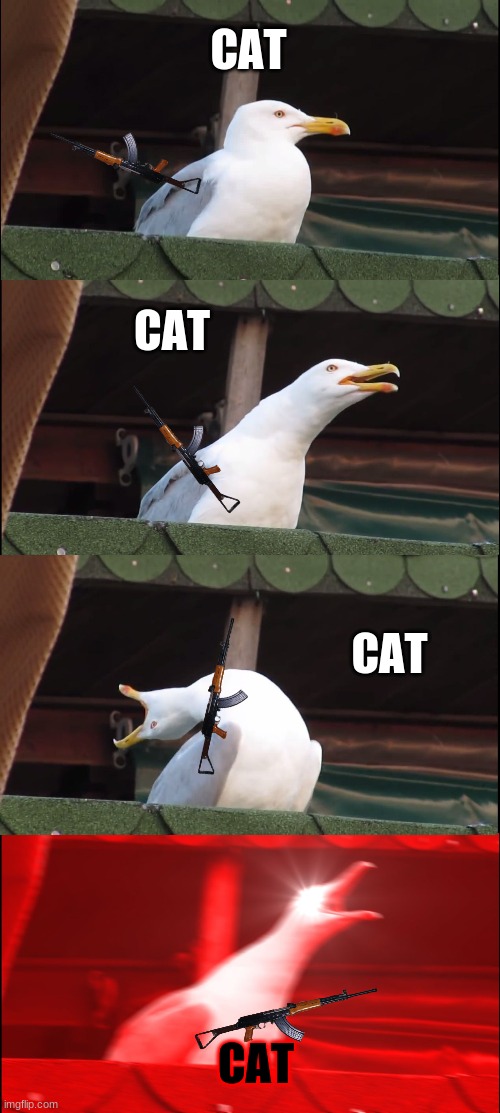 Inhaling Seagull | CAT; CAT; CAT; CAT | image tagged in memes,inhaling seagull | made w/ Imgflip meme maker