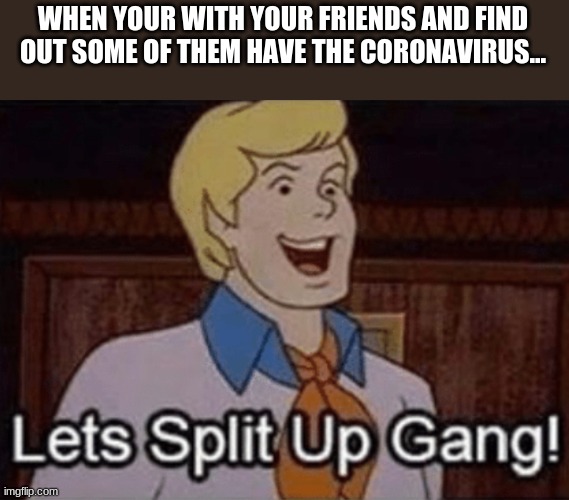 Let’s split up hang! | WHEN YOUR WITH YOUR FRIENDS AND FIND OUT SOME OF THEM HAVE THE CORONAVIRUS... | image tagged in lets split up hang | made w/ Imgflip meme maker