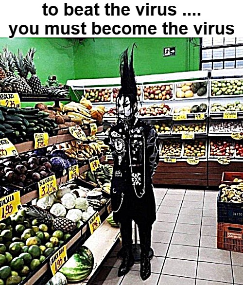 to beat the virus .... you must become the virus | image tagged in become the virus | made w/ Imgflip meme maker