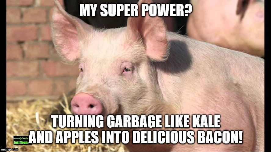 Pig super power | MY SUPER POWER? TURNING GARBAGE LIKE KALE AND APPLES INTO DELICIOUS BACON! | image tagged in bacon,pork | made w/ Imgflip meme maker