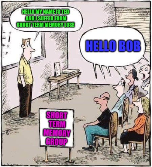 Support Group | HELLO MY NAME IS TED 
AND I SUFFER FROM
SHORT TERM MEMORY LOSE; HELLO BOB; SHORT
 TERM
 MEMORY
 GROUP | image tagged in support group | made w/ Imgflip meme maker