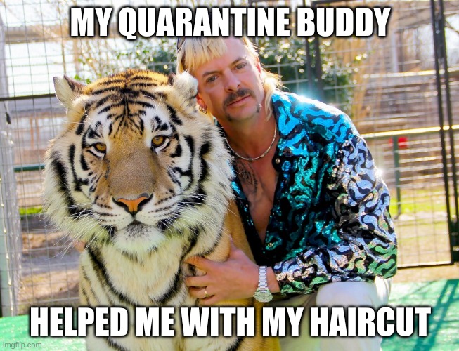 MY QUARANTINE BUDDY; HELPED ME WITH MY HAIRCUT | image tagged in tiger king | made w/ Imgflip meme maker