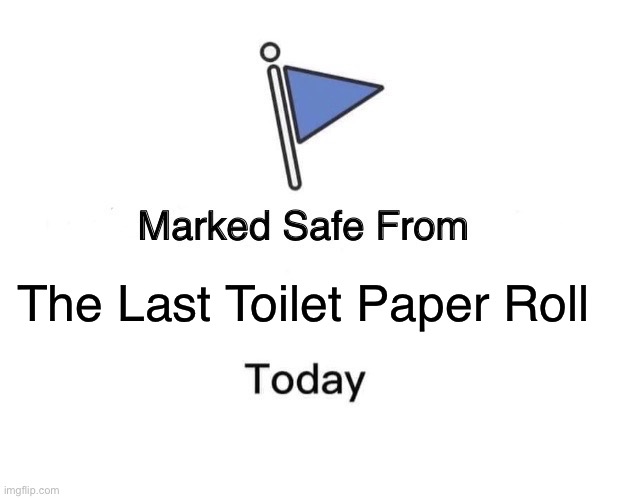 Marked Safe From Meme | The Last Toilet Paper Roll | image tagged in memes,marked safe from | made w/ Imgflip meme maker