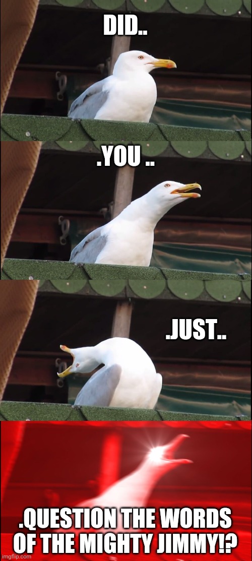 Inhaling Seagull Meme | DID.. .YOU .. .JUST.. .QUESTION THE WORDS OF THE MIGHTY JIMMY!? | image tagged in memes,inhaling seagull | made w/ Imgflip meme maker