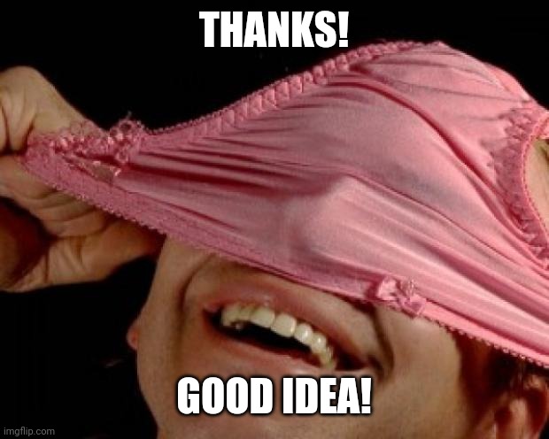 panties on head | THANKS! GOOD IDEA! | image tagged in panties on head | made w/ Imgflip meme maker