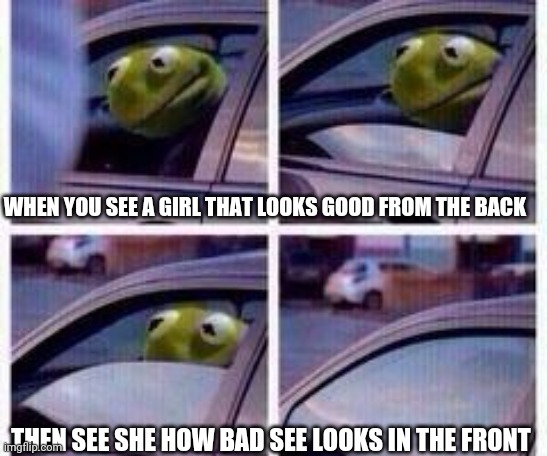 Kermit rolls up window | WHEN YOU SEE A GIRL THAT LOOKS GOOD FROM THE BACK; THEN SEE SHE HOW BAD SEE LOOKS IN THE FRONT | image tagged in kermit rolls up window | made w/ Imgflip meme maker