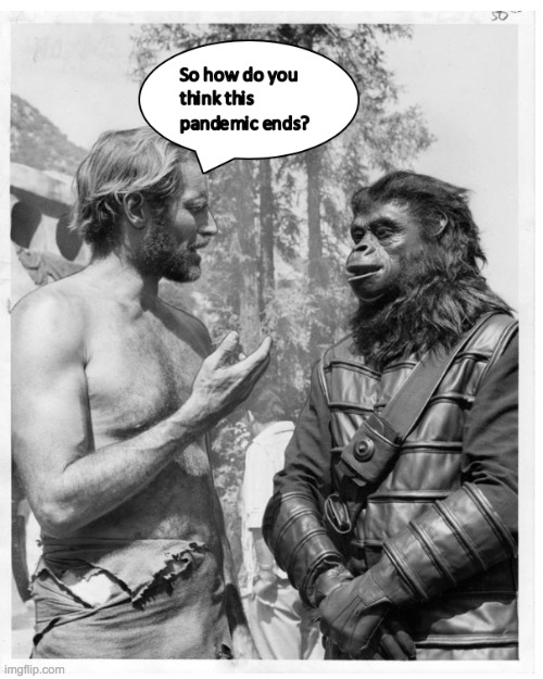 image tagged in covid19,coronavirus,planet of the apes | made w/ Imgflip meme maker