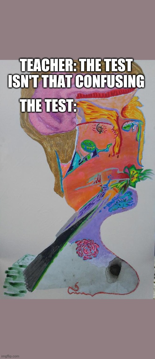 The Witch | TEACHER: THE TEST ISN'T THAT CONFUSING; THE TEST: | image tagged in the witch | made w/ Imgflip meme maker