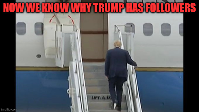 Trump followers | NOW WE KNOW WHY TRUMP HAS FOLLOWERS | image tagged in donald trump | made w/ Imgflip meme maker