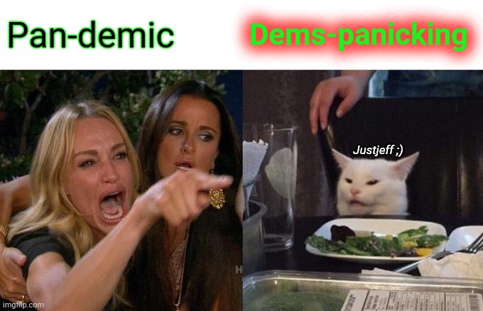 ?Triggered snowflakes? | Pan-demic; Dems-panicking; Justjeff ;) | image tagged in memes,woman yelling at cat,pandemic,dems-panicking,justjeff | made w/ Imgflip meme maker