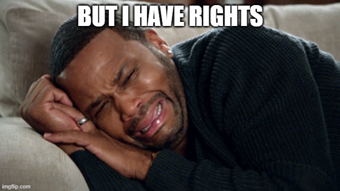 But I Have Rights | BUT I HAVE RIGHTS | image tagged in but i have rights,rights | made w/ Imgflip meme maker