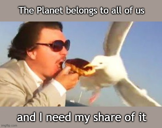 swiping seagull | The Planet belongs to all of us; and I need my share of it | image tagged in swiping seagull | made w/ Imgflip meme maker