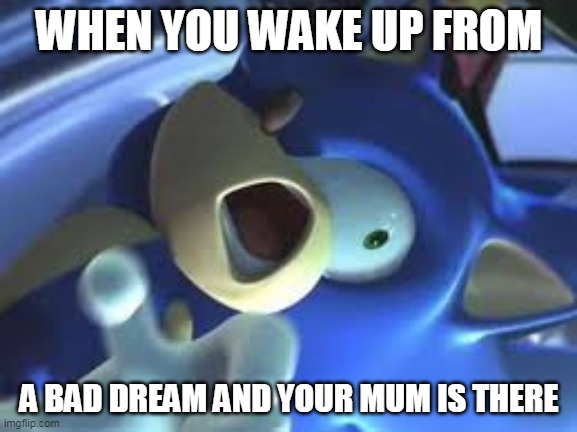 Sonic in pain | WHEN YOU WAKE UP FROM; A BAD DREAM AND YOUR MUM IS THERE | image tagged in sonic in pain | made w/ Imgflip meme maker