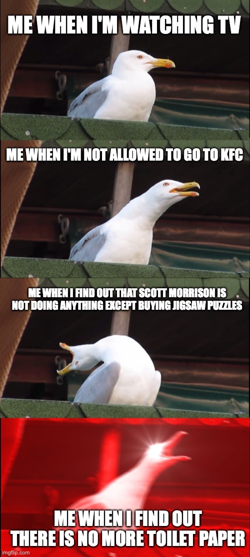Inhaling Seagull | ME WHEN I'M WATCHING TV; ME WHEN I'M NOT ALLOWED TO GO TO KFC; ME WHEN I FIND OUT THAT SCOTT MORRISON IS NOT DOING ANYTHING EXCEPT BUYING JIGSAW PUZZLES; ME WHEN I FIND OUT THERE IS NO MORE TOILET PAPER | image tagged in memes,inhaling seagull | made w/ Imgflip meme maker