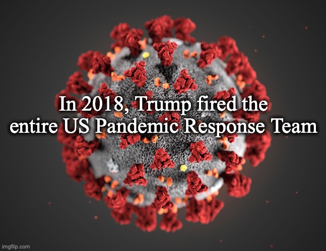 Coronavirus | In 2018, Trump fired the entire US Pandemic Response Team | image tagged in coronavirus | made w/ Imgflip meme maker