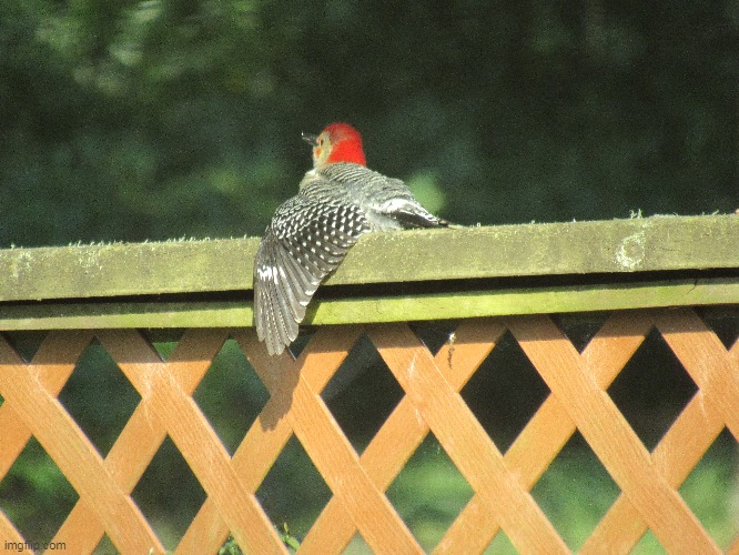 It was extremely hot this day | image tagged in cooling off | made w/ Imgflip meme maker