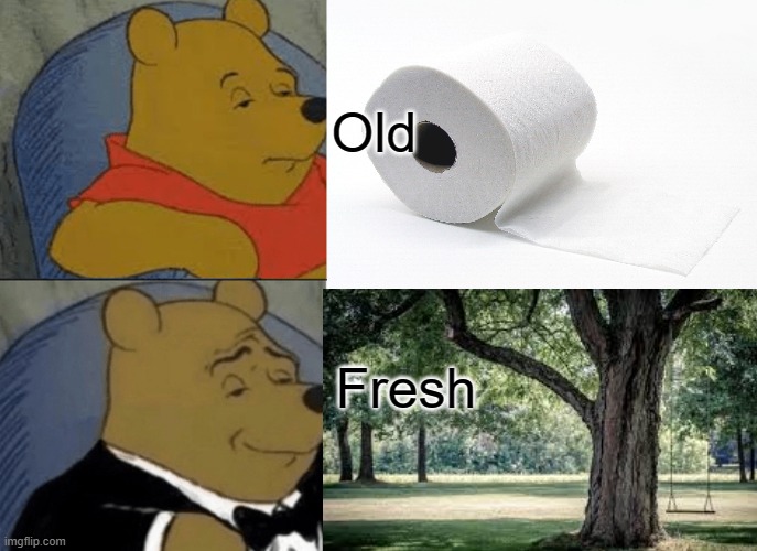 survive the corona crisis by having fresh toilet paper (no repost). | Old; Fresh | image tagged in toilet paper | made w/ Imgflip meme maker