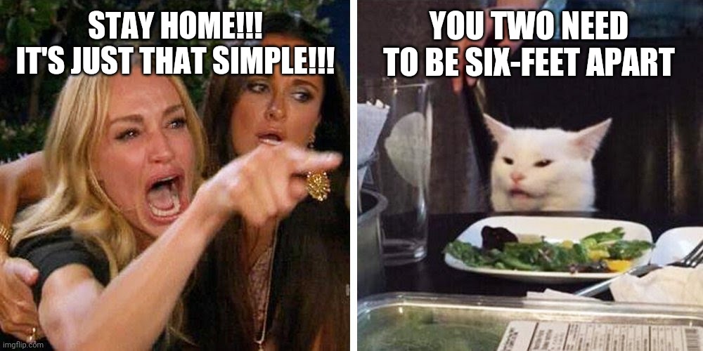 Social Dissonance | YOU TWO NEED TO BE SIX-FEET APART; STAY HOME!!!
IT'S JUST THAT SIMPLE!!! | image tagged in smudge the cat,social distancing,memes,covid-19,coronavirus,hypocrisy | made w/ Imgflip meme maker