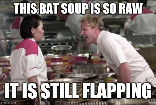 Angry Chef Gordon Ramsay Meme | THIS BAT SOUP IS SO RAW; IT IS STILL FLAPPING | image tagged in memes,angry chef gordon ramsay | made w/ Imgflip meme maker