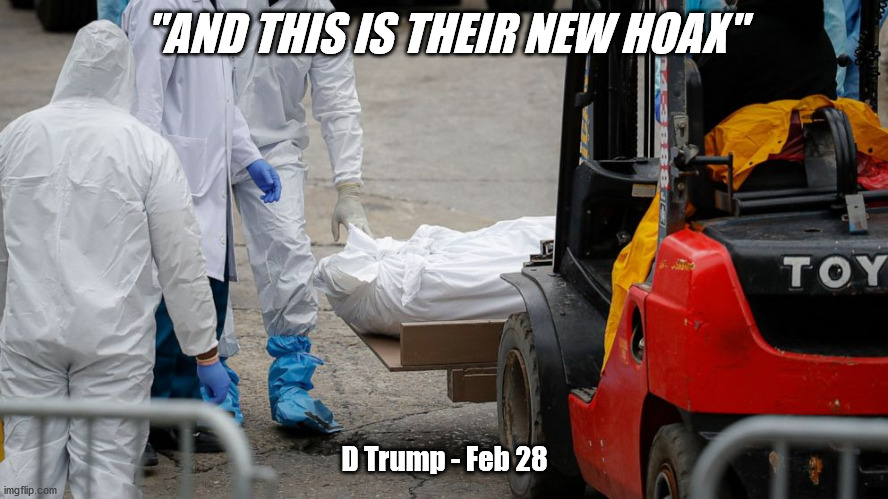 Trump's Hoax | "AND THIS IS THEIR NEW HOAX"; D Trump - Feb 28 | image tagged in trump,coronavirus,hoax | made w/ Imgflip meme maker