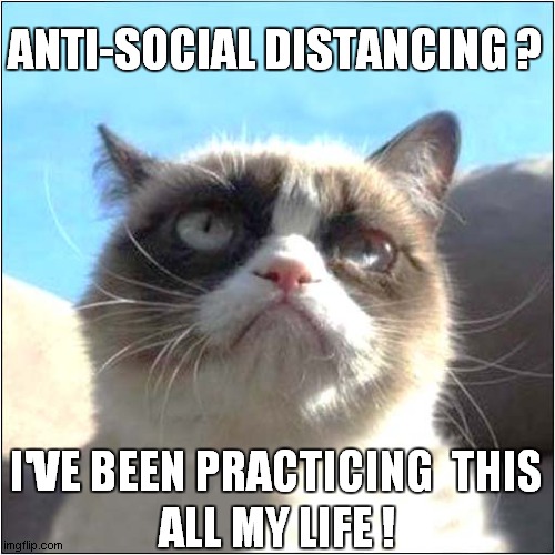 Grumpys Important Message | ANTI-SOCIAL DISTANCING ? ALL MY LIFE ! I'VE BEEN PRACTICING  THIS | image tagged in fun,grumpy cat,social distancing | made w/ Imgflip meme maker