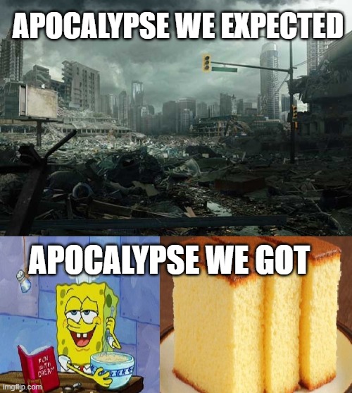 APOCALYPSE WE EXPECTED; APOCALYPSE WE GOT | image tagged in coronavirus | made w/ Imgflip meme maker