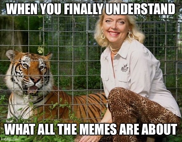 Carol Baskin | WHEN YOU FINALLY UNDERSTAND; WHAT ALL THE MEMES ARE ABOUT | image tagged in carol baskin | made w/ Imgflip meme maker