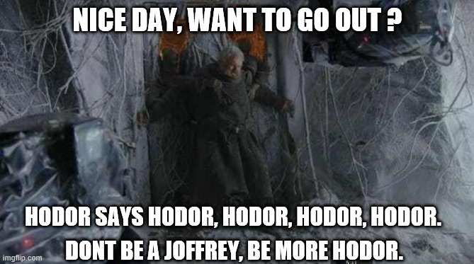 NICE DAY, WANT TO GO OUT ? HODOR SAYS HODOR, HODOR, HODOR, HODOR. DONT BE A JOFFREY, BE MORE HODOR. | image tagged in memes | made w/ Imgflip meme maker