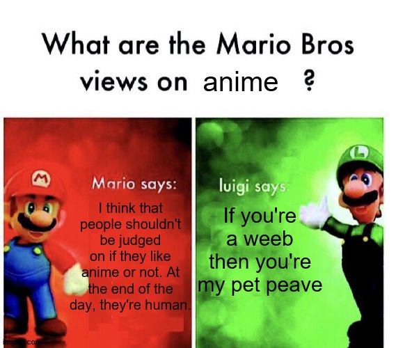 This is FightingFantasy89's but worded differently. | anime; If you're a weeb then you're my pet peave; I think that people shouldn't be judged on if they like anime or not. At the end of the day, they're human. | image tagged in what are the mario bros views on | made w/ Imgflip meme maker