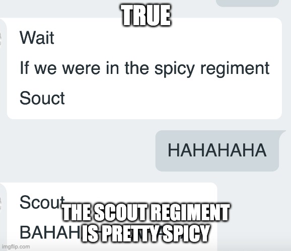 Spicy regiment (AOT) | TRUE; THE SCOUT REGIMENT IS PRETTY SPICY | image tagged in attack on titan,aot,snk,anime,funny,spicy | made w/ Imgflip meme maker
