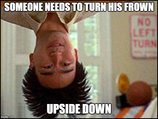 Long Duck Dong (upside down) | SOMEONE NEEDS TO TURN HIS FROWN UPSIDE DOWN | image tagged in long duck dong upside down | made w/ Imgflip meme maker