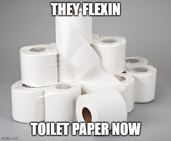 toilet paper | THEY FLEXIN; TOILET PAPER NOW | image tagged in toilet paper | made w/ Imgflip meme maker