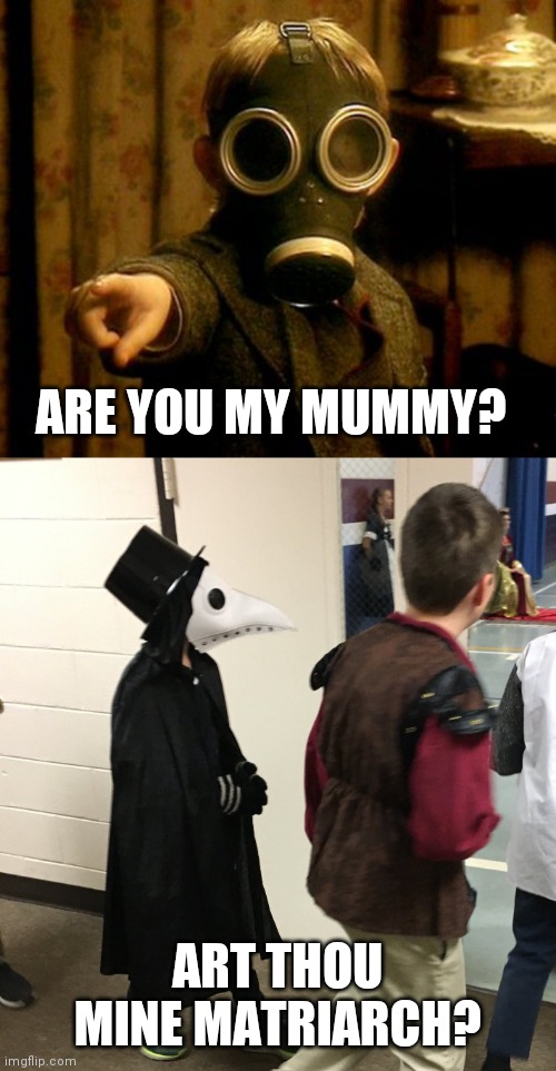 Are you my Mummy? | ARE YOU MY MUMMY? ART THOU MINE MATRIARCH? | image tagged in doctor who,plague doctor,gas mask,mask | made w/ Imgflip meme maker