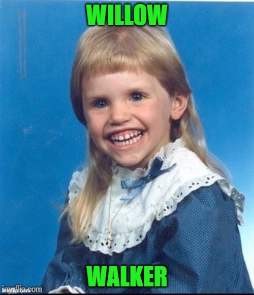 Mullet kid | WILLOW; WALKER | image tagged in mullet kid | made w/ Imgflip meme maker
