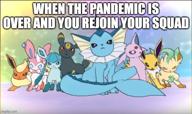 Pokemon sun moon eevee squad | WHEN THE PANDEMIC IS OVER AND YOU REJOIN YOUR SQUAD | image tagged in pokemon sun moon eevee squad | made w/ Imgflip meme maker