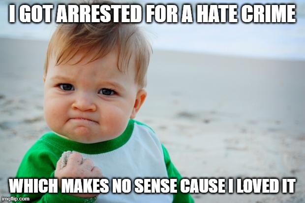 L-O-V-E & H-A-T-E | I GOT ARRESTED FOR A HATE CRIME; WHICH MAKES NO SENSE CAUSE I LOVED IT | image tagged in succes kid beach | made w/ Imgflip meme maker