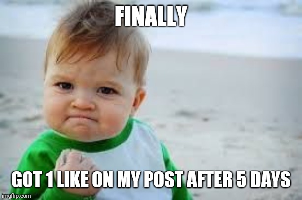 success kid | FINALLY; GOT 1 LIKE ON MY POST AFTER 5 DAYS | image tagged in success kid | made w/ Imgflip meme maker