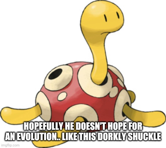 shuckle | HOPEFULLY HE DOESN'T HOPE FOR AN EVOLUTION.. LIKE THIS DORKLY SHUCKLE | image tagged in shuckle | made w/ Imgflip meme maker