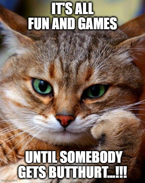 bored cat | IT'S ALL FUN AND GAMES; UNTIL SOMEBODY GETS BUTTHURT...!!! | image tagged in bored cat | made w/ Imgflip meme maker